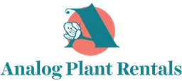 Analog Plant Rentals